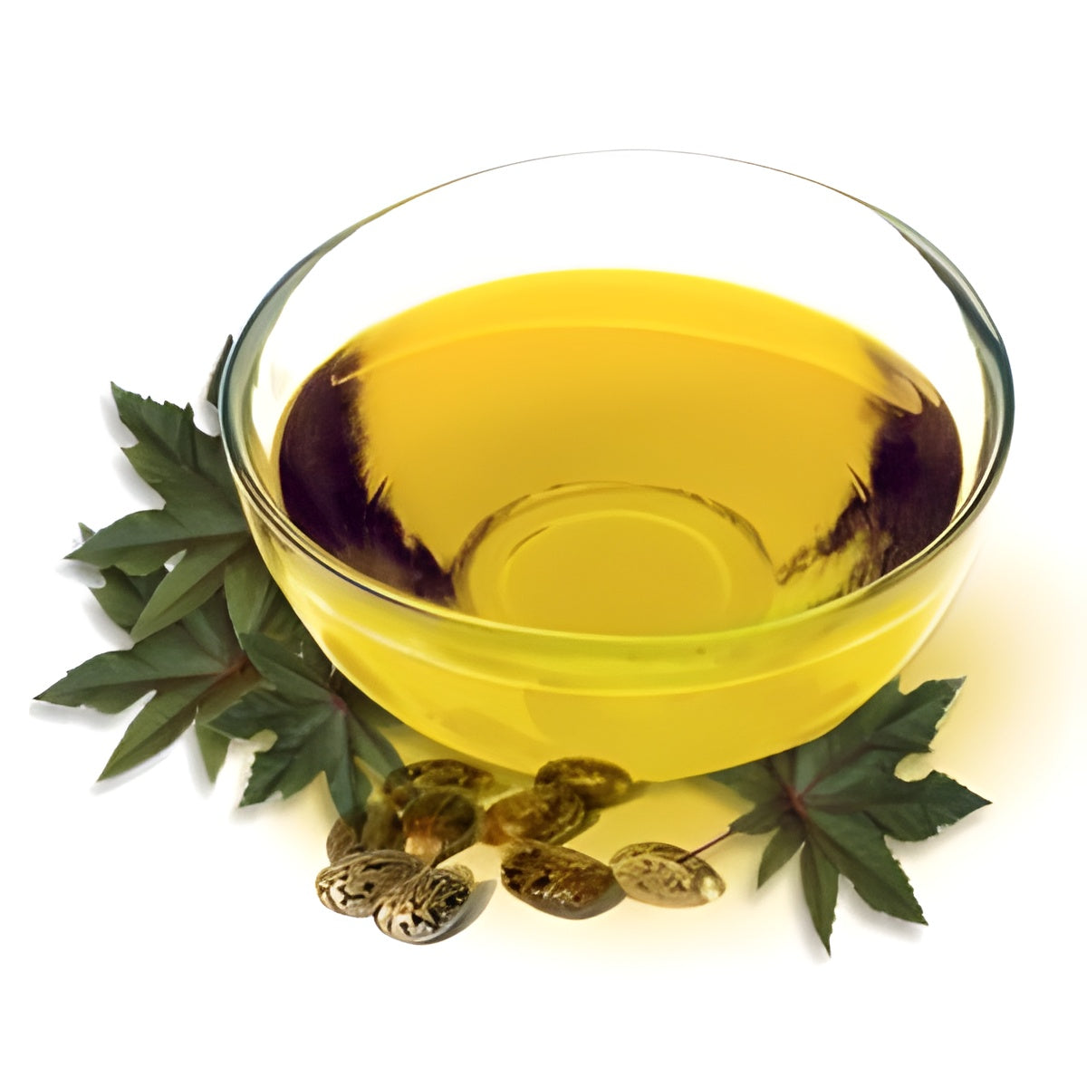 CASTOR OIL
