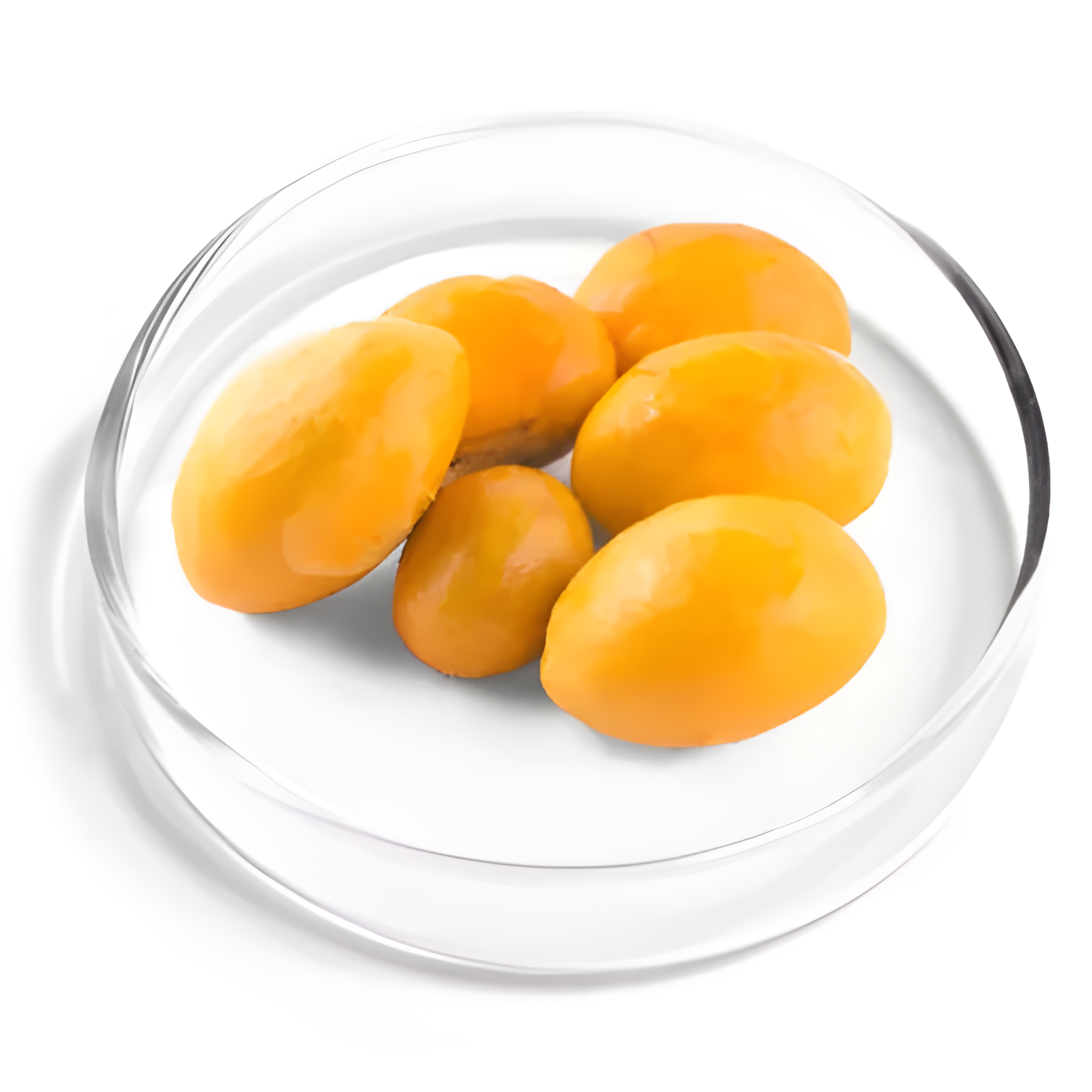 PEQUI OIL