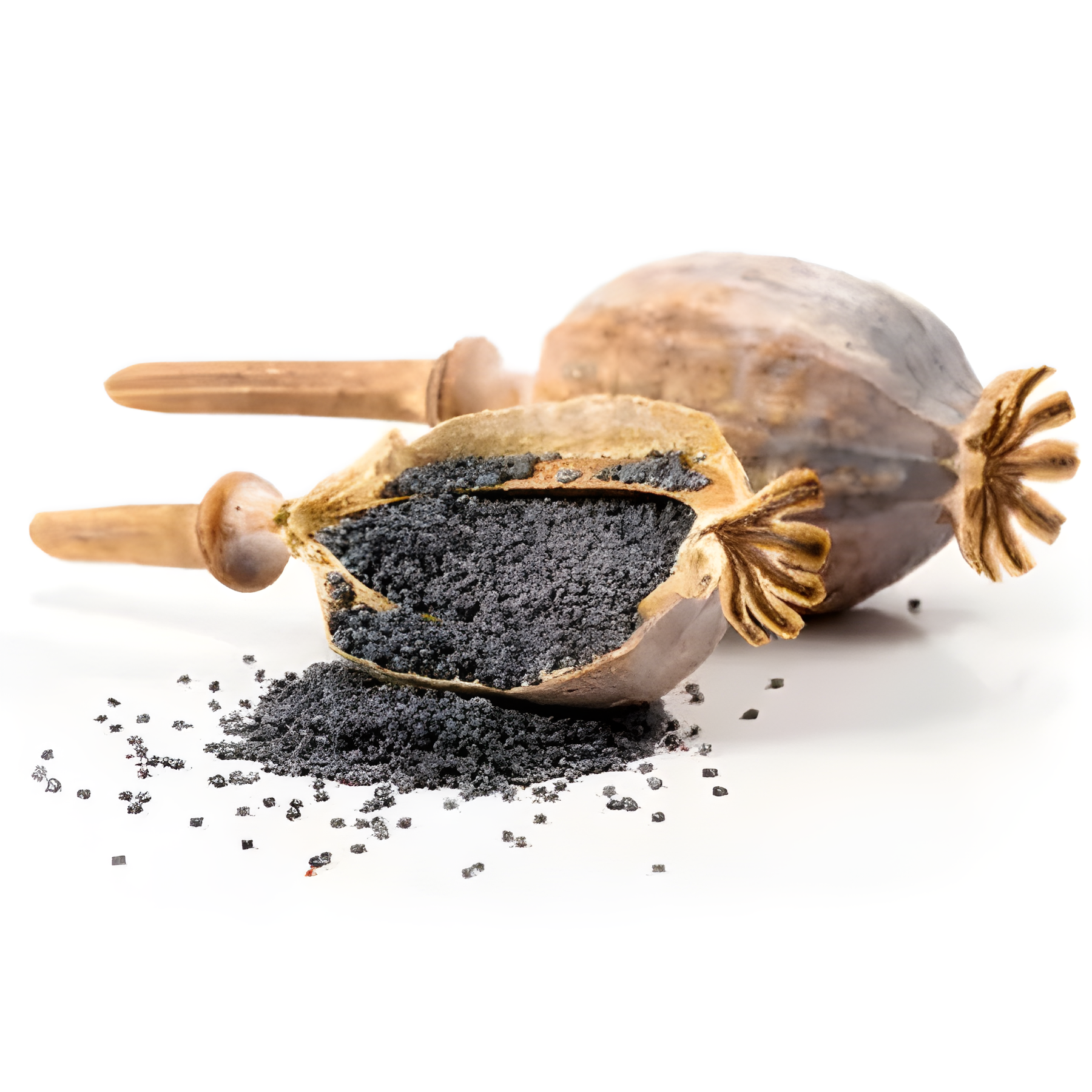 POPPY OIL