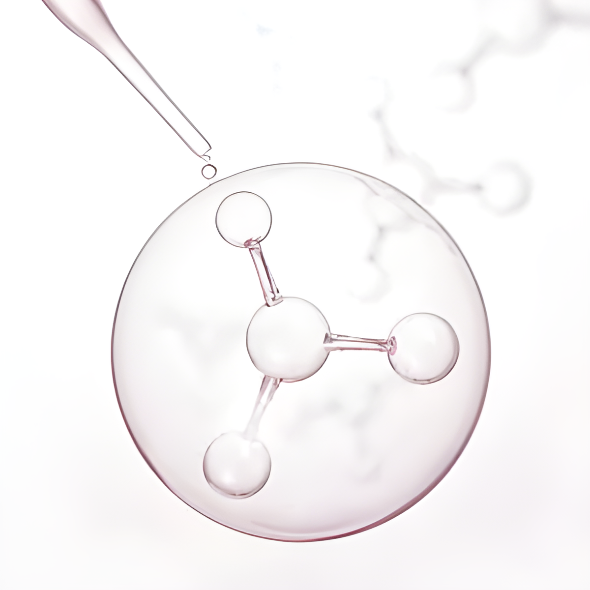 BIOACTIVE PROTEIN
