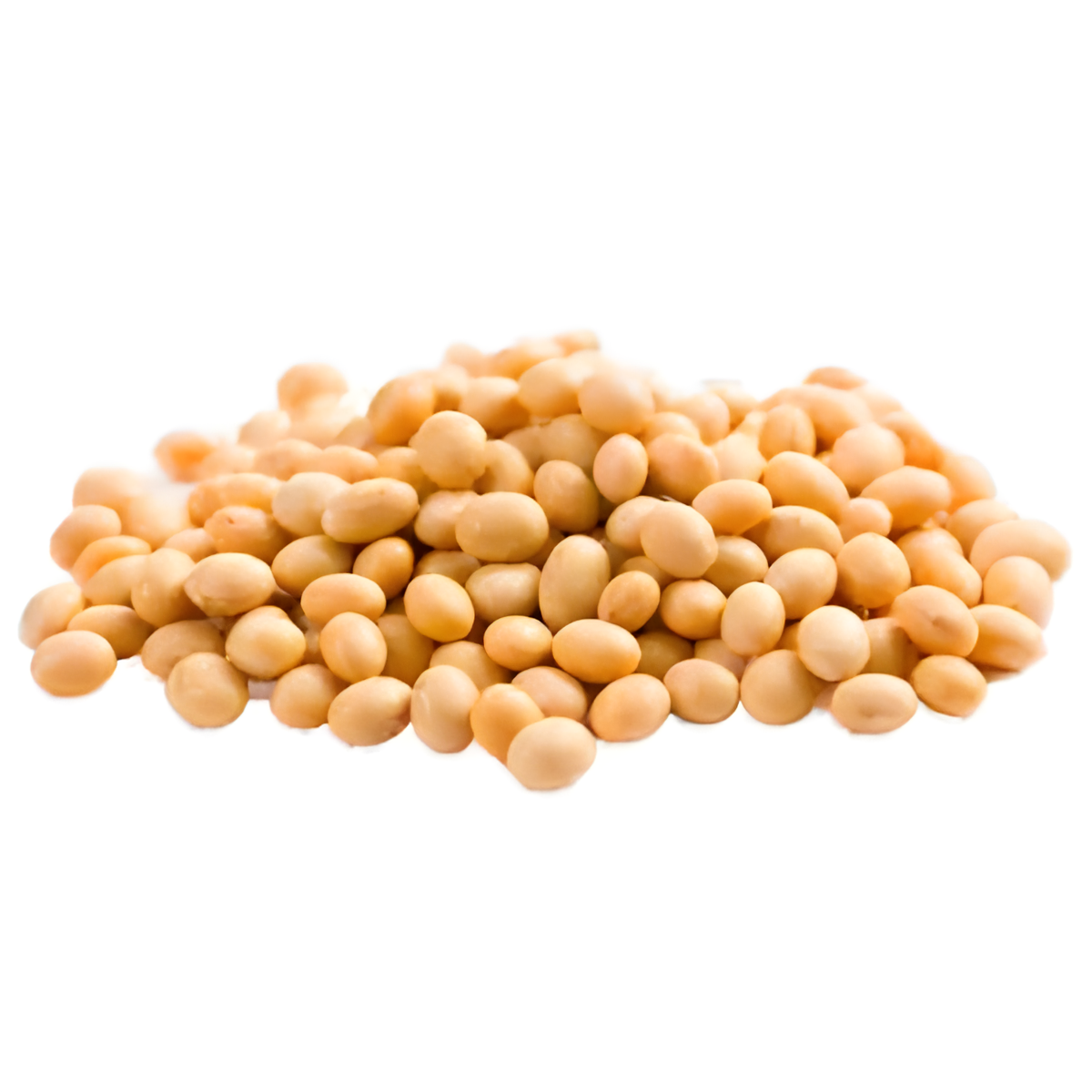 PROTEIN SOJE